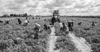 Caporalato: cos'è e cosa prevede la legge per il reato di sfruttamento del lavoro