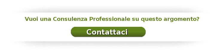 consulenza