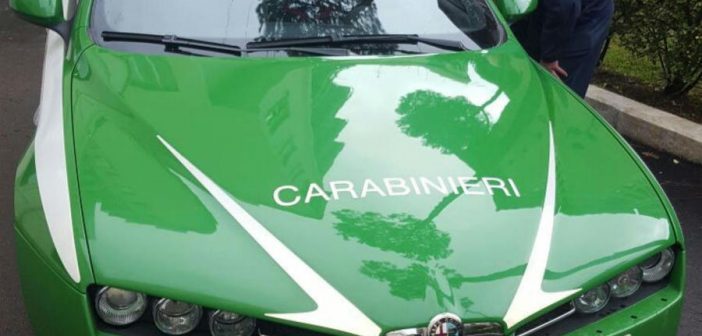 Concorso Carabinieri: Pubblicato il bando per 11 tenenti Guardia Forestale