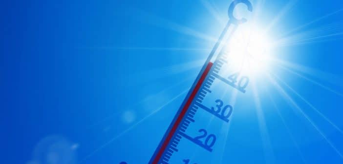 Al lavoro fa troppo caldo