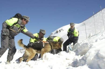 Guardia di Finanza concorso: Reclutamento di 30 Allievi soccorso Alpino