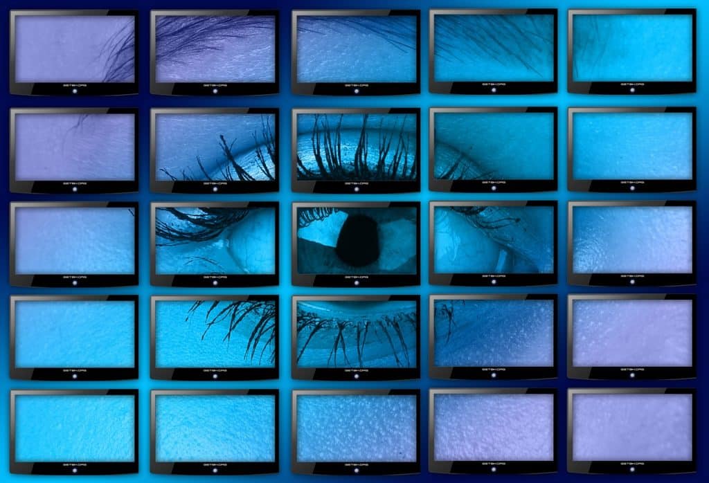 INL: chiarimenti su video sorveglianza e altri strumenti di controllo