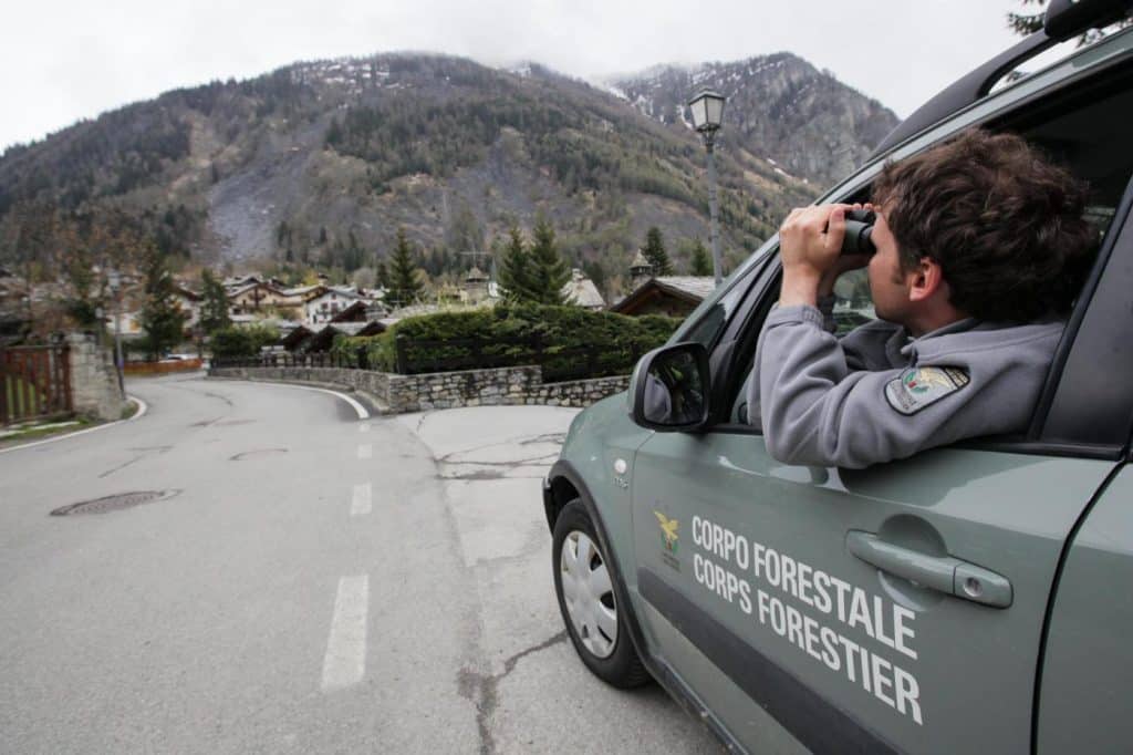 Concorso Guardia Forestale: 30 posti nella provincia di Trento
