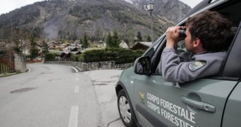 Concorso Guardia Forestale: 30 posti nella provincia di Trento