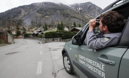 Concorso Guardia Forestale: 30 posti nella provincia di Trento