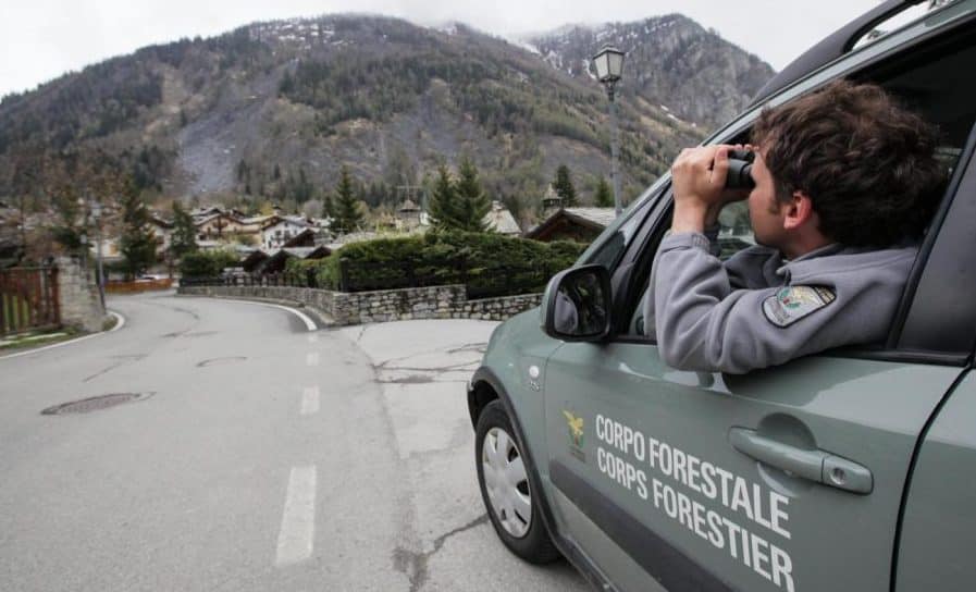 Concorso Guardia Forestale 30 posti nella provincia di Trento