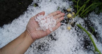 Esoneri per calamità alle aziende agricole: chiarimenti Inps
