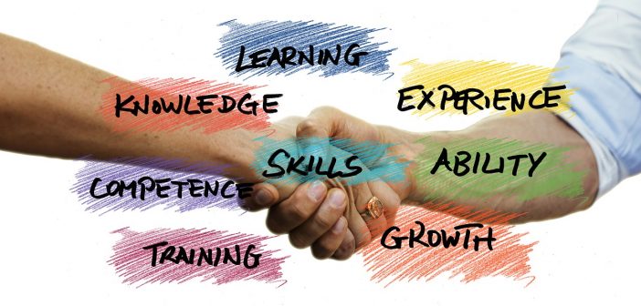 Soft skills: cosa sono e quali sono quelle più richieste