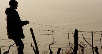 Trasformazione della domanda di NASpI in disoccupazione agricola e viceversa