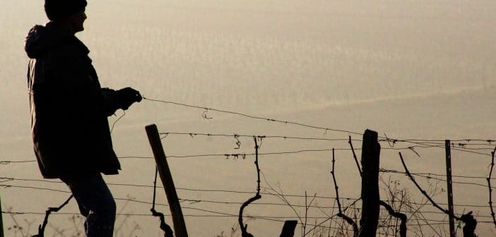 Trasformazione della domanda di NASpI in disoccupazione agricola e viceversa