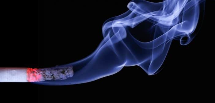 Possesso di droga in pausa pranzo: licenziamento illegittimo