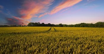 NASpI, cumulabilità con redditi da lavoro autonomo in agricoltura