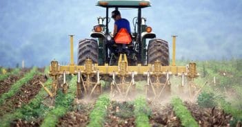 Denuncia di infortunio INAIL online, ora anche in agricoltura Denuncia di infortunio INAIL online, ora anche in agricoltura