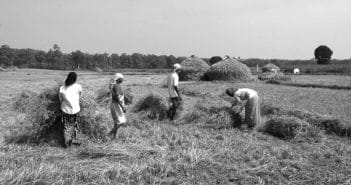 caporalato in agricoltura