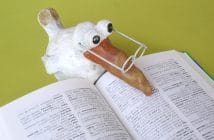 Pensione Scuola