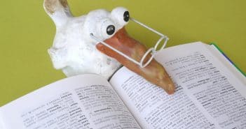 Pensione Scuola