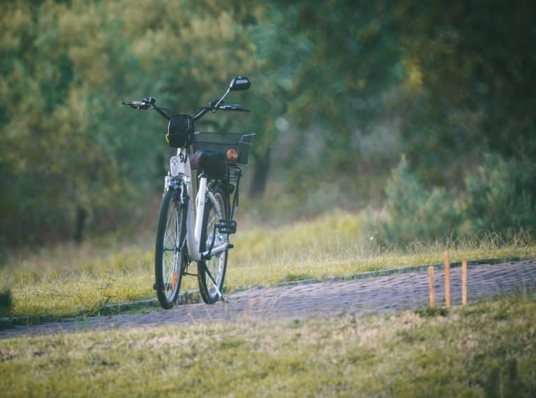 Buoni mobilità