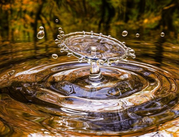 Bonus acqua potabile 2023: domanda entro il 28 febbraio per le spese sostenute nel 2022